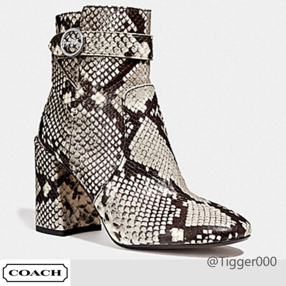 COACH Elisa Booties in Snake Printed Leather